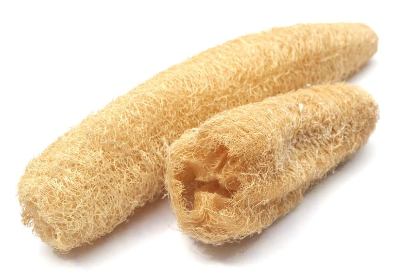 100% Natural Wonderveld Loofah