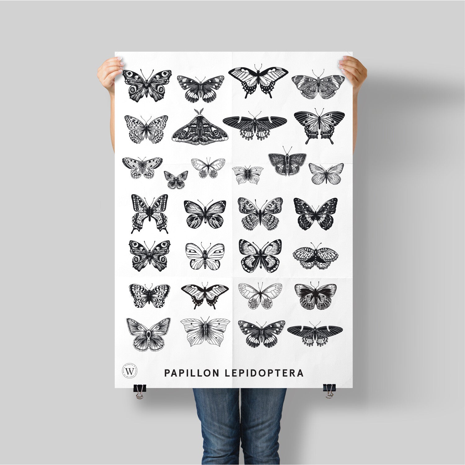 PAPILLON LEPIDOPTERA - WONDERVELD APOTHECARY