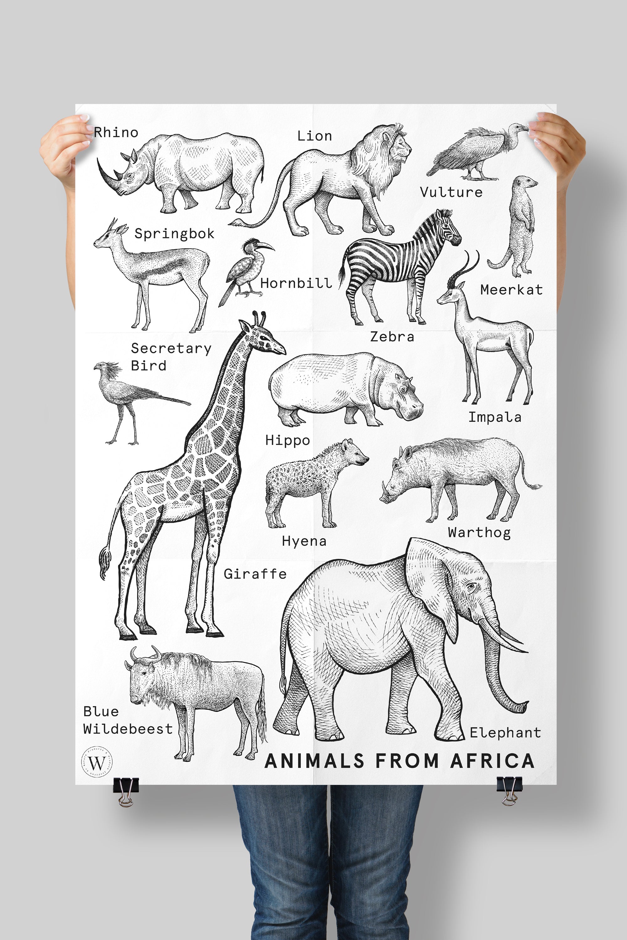 ANIMALS FROM AFRICA - WONDERVELD APOTHECARY