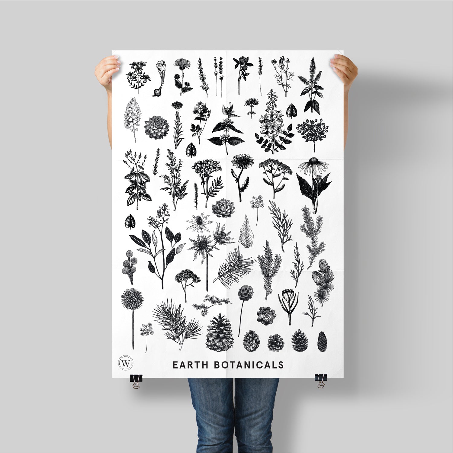 EARTH BOTANICALS - WONDERVELD APOTHECARY