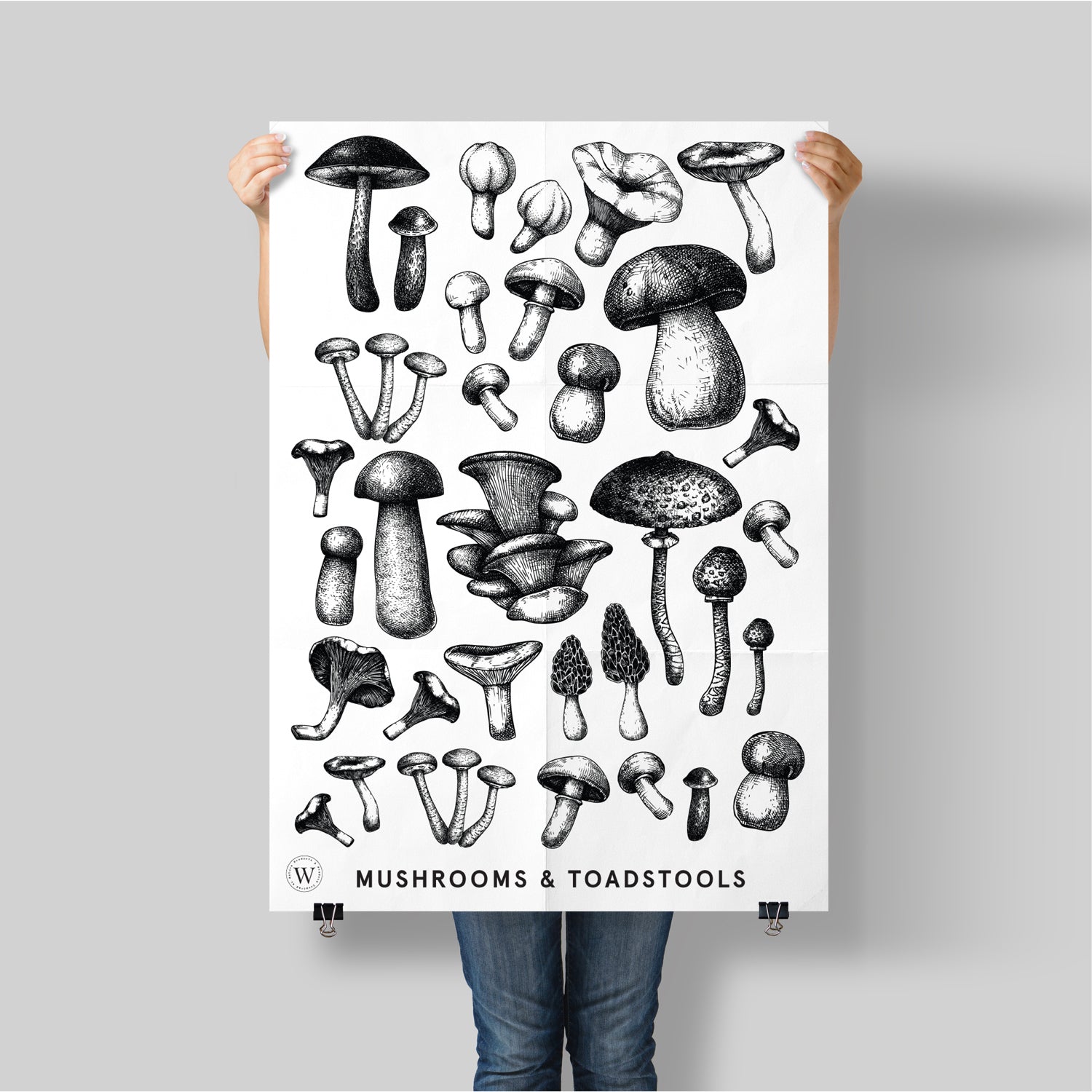 MUSHROOMS & TOADSTOOLS - WONDERVELD APOTHECARY
